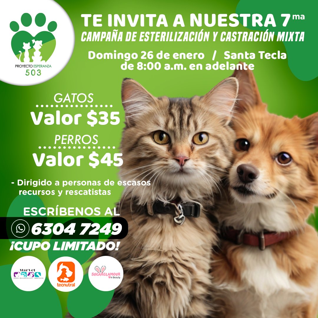 ProyectoEsperanza503 tweet media