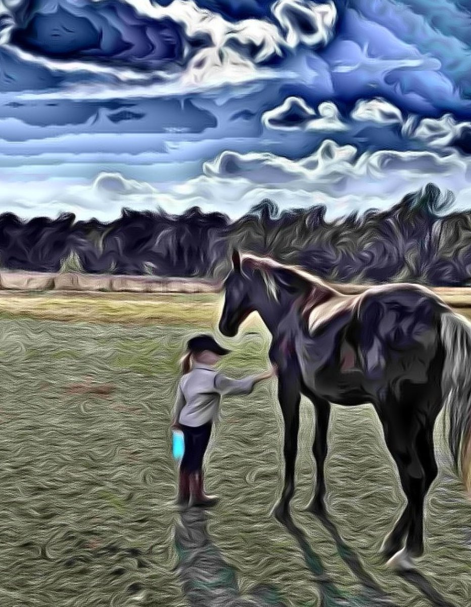 Diegoranchinc's tweet photo. I am getting so close to having my new children's book complete. This will be the front cover along with MINI MAGGIE'S MIRACLES: True Tales from Diego Ranch by Michael Jackson.... Yes, that's my name LOL I can't wait for this day. I'm Just a regular guy trying to make a difference in the world with my little mini donkey telling the story.