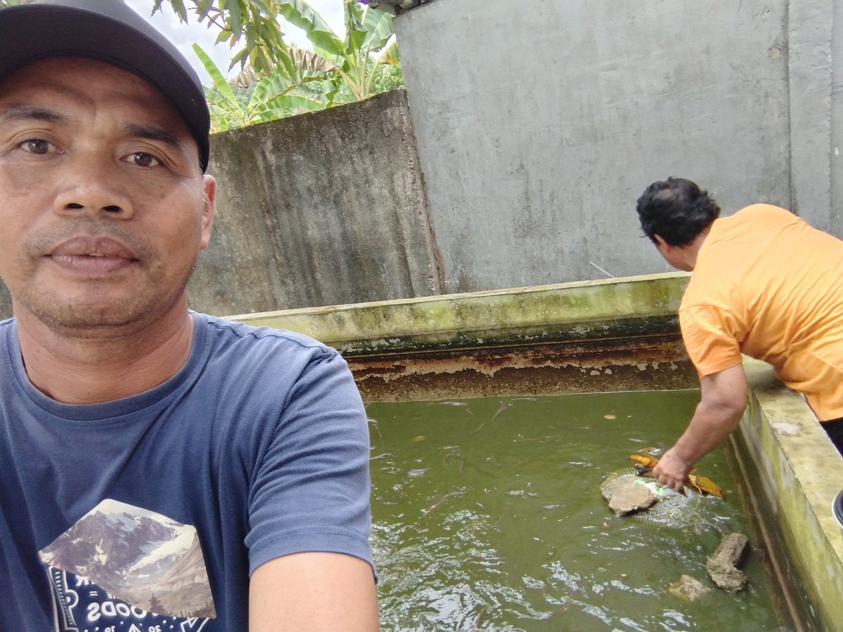 MustariPin4811's tweet image. Rabu (19-12-2024) Mustari, Luhkan Kabupaten Melawi, panen ikan lele di kolam pak Marjono Desa Madong Raya Kecamatan Tanah Pinoh sebanyak 20 kg, harga per kilo gram Rp 30.000
#giatluhkansatminkaltegal 
#bppsdm_kp
#LuhLapor