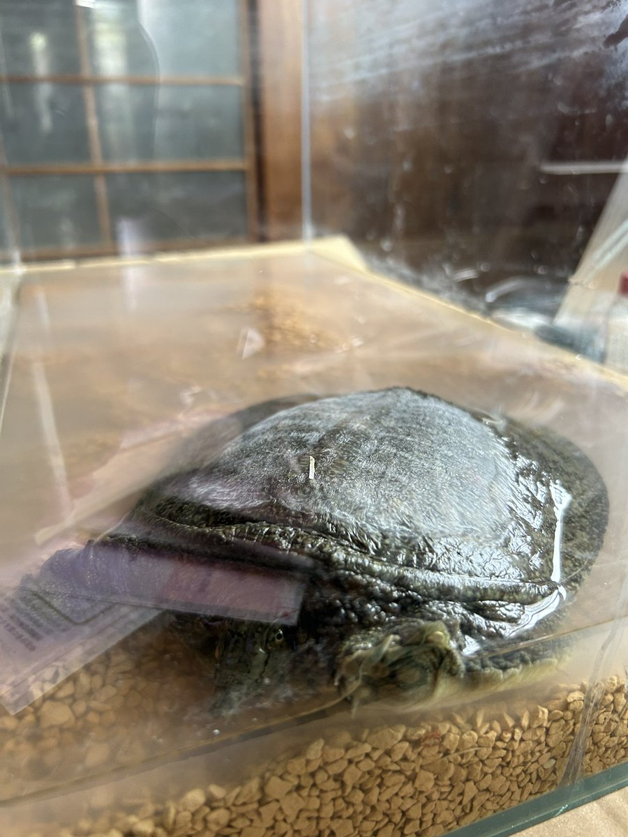 今日のよしずみ君！
元気そうだ♪