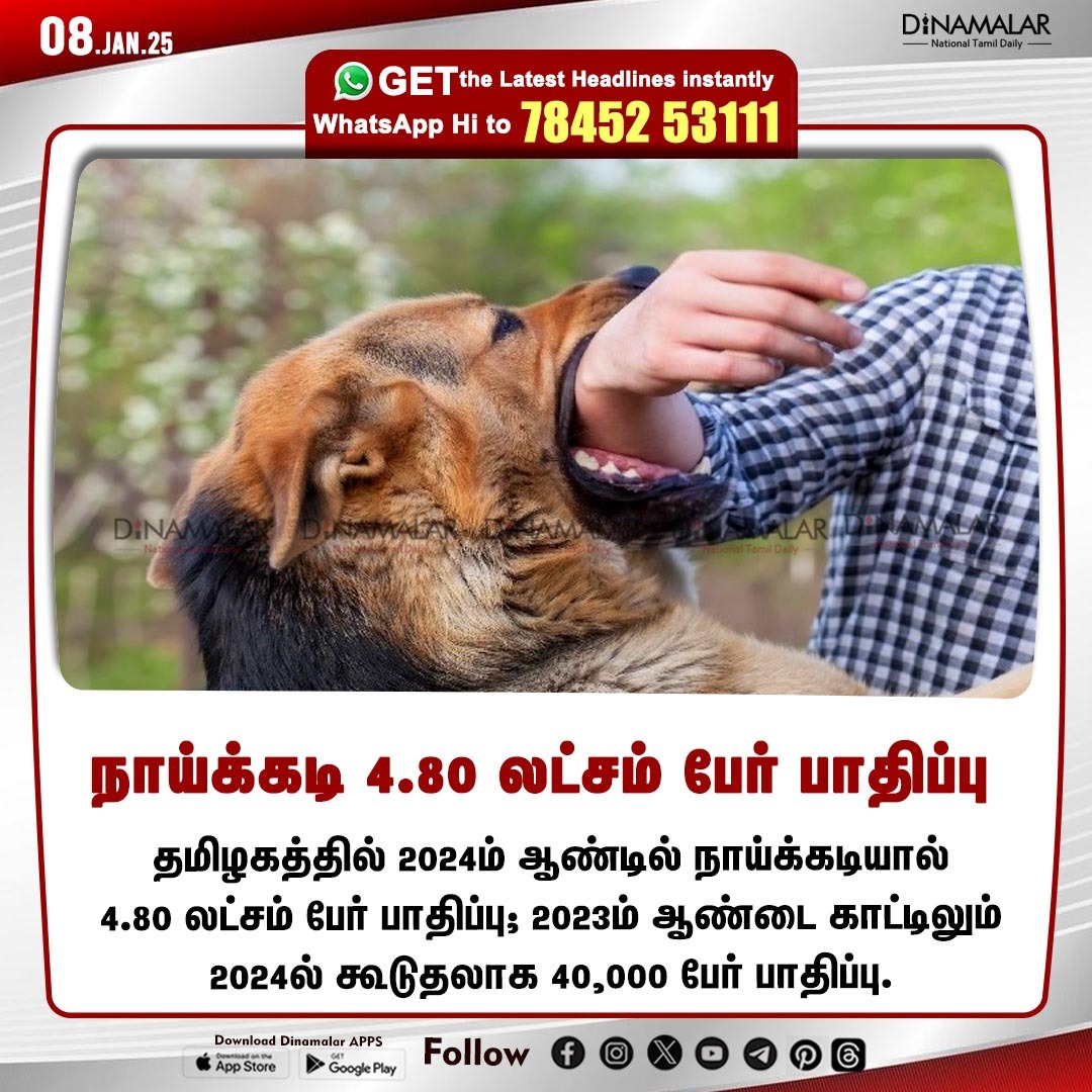 dinamalarweb's tweet image. நாய்க்கடி 4.80 லட்சம் பேர் பாதிப்பு
#dog  |#Affect 
dinamalar.com