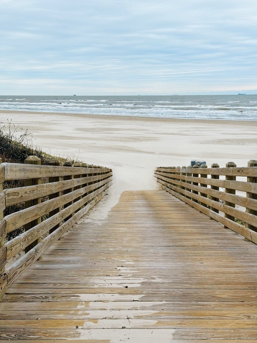 Few pictures I took today