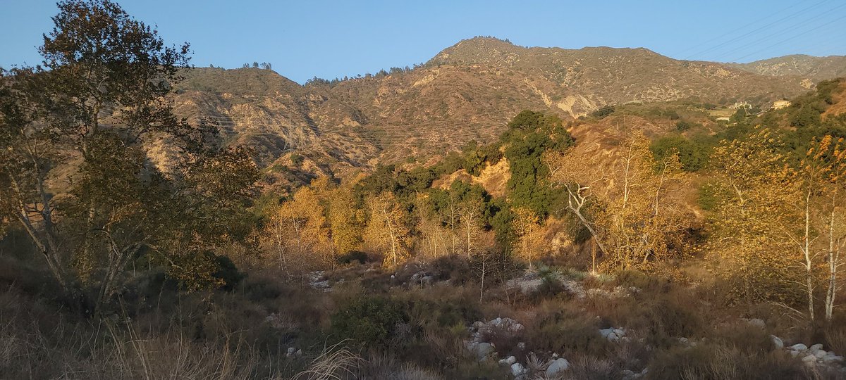 Edgar McGregor tweet media