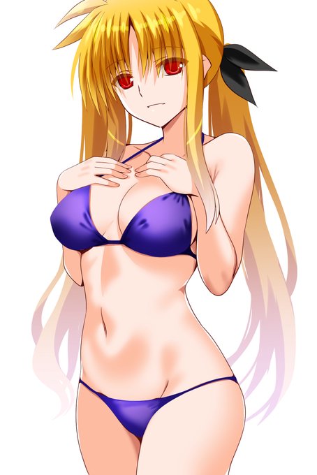 以前クリスマス仕様に無理矢理変更した
ビキニフェイトちゃん。 