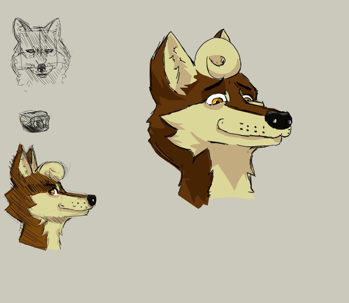 Práctica de hoy 
#furryartwork #furry #wolf #furr