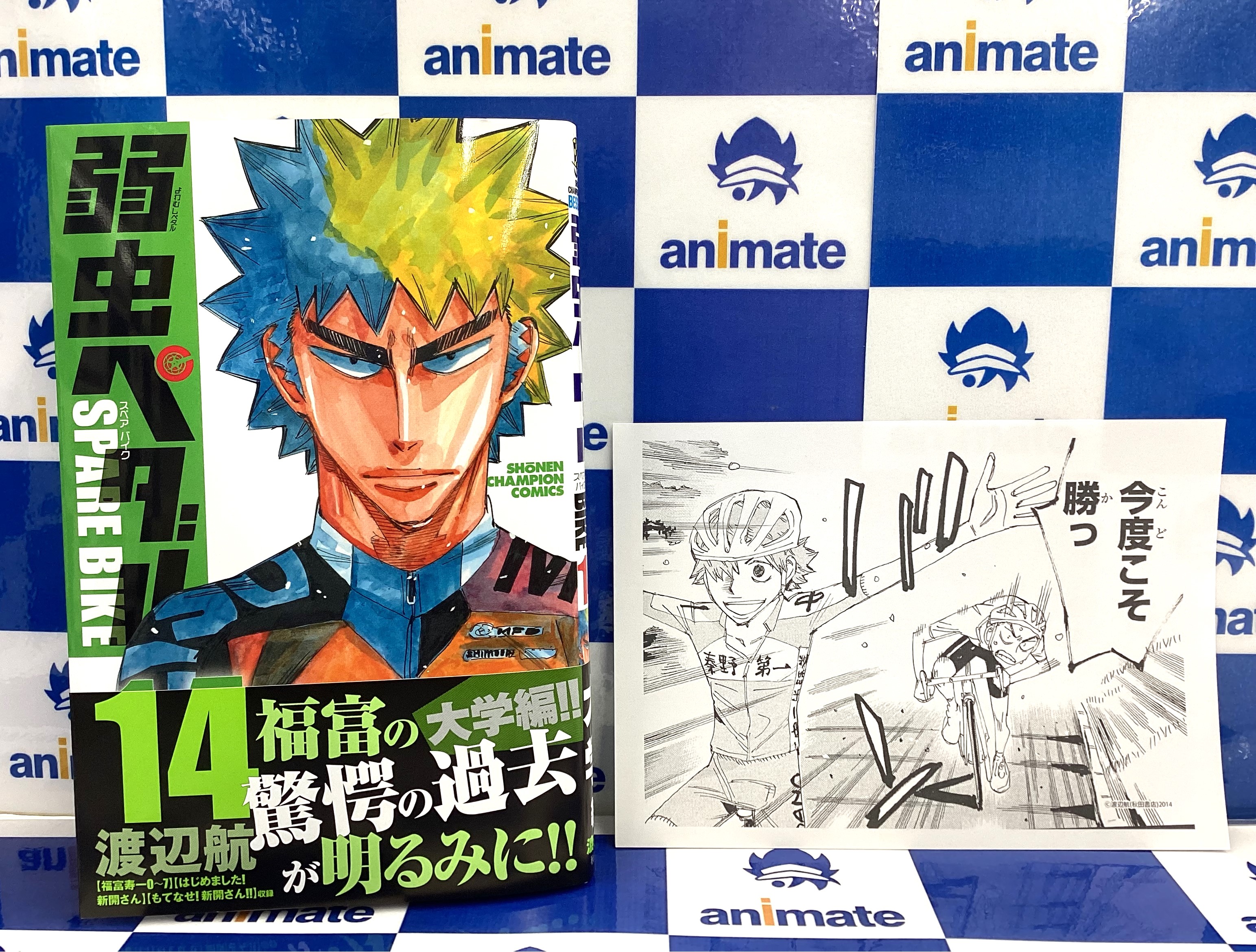 弱虫ペダル 44巻+スペアバイク等 アニメイト限定版 店舗特典多数 弱虫ペダル SPARE BIKE』アニメイトフェア | AMNIBUS