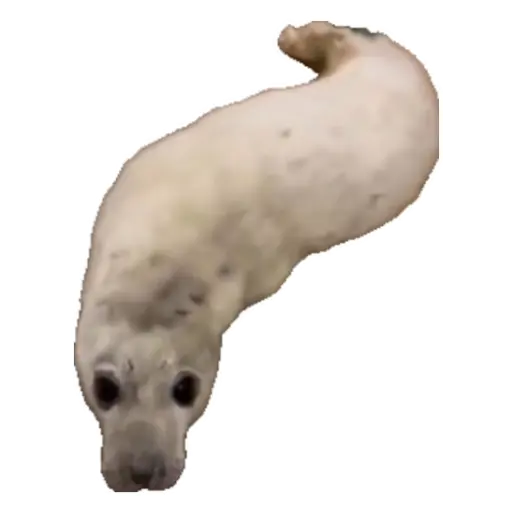 slug...worm...serpent