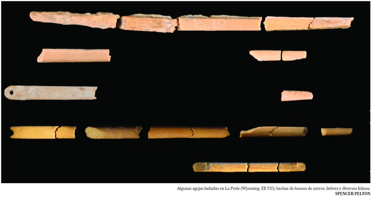 Pleased to contribute to this story in <a href="/el_pais/">EL PAÍS</a> by Constanza Cabrera, on the early eyed needles in Wyoming (English translation):
The secret of the prehistoric clothing that helped the first settlers in North America survive english.elpais.com/science-tech/2… via <a href="/elpaisinenglish/">El País English Edition</a>