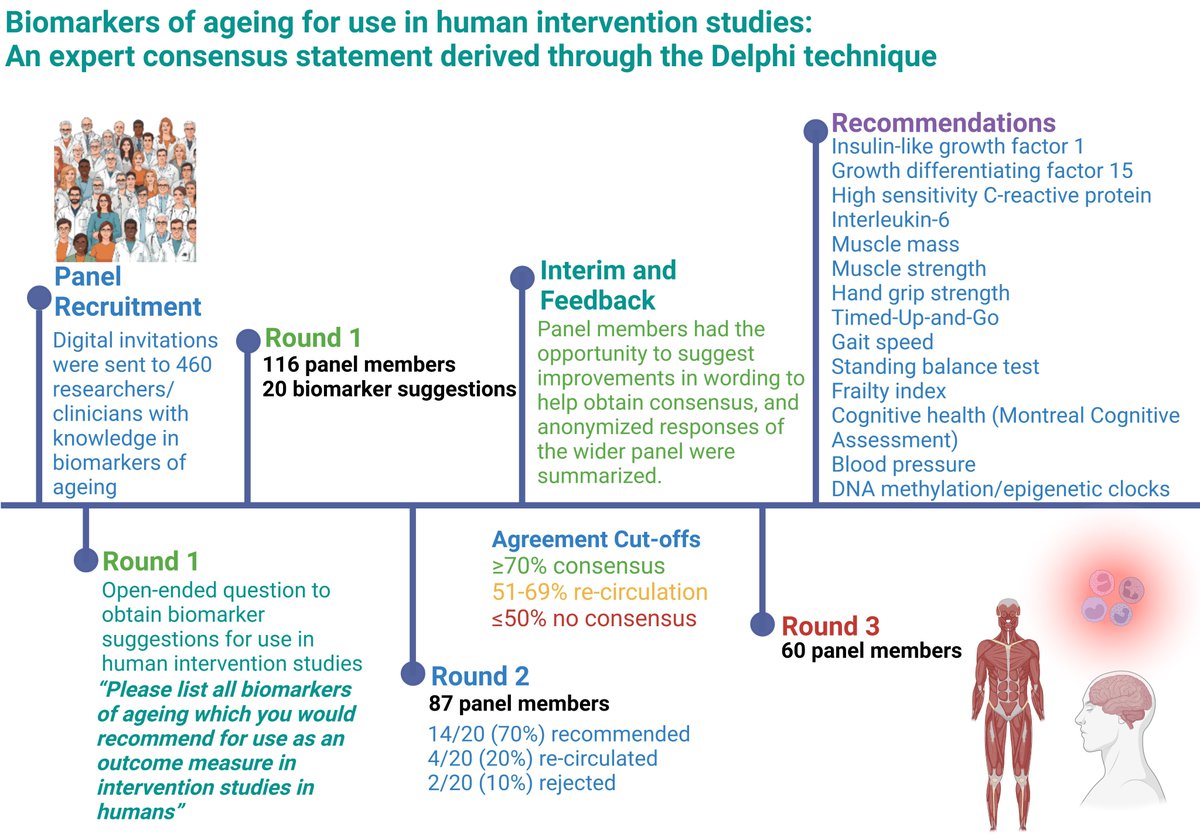 TimePie (focus on anti-aging science) (@timepiechina) on Twitter photo An expert consensus statement on #biomarkers of #aging for use in intervention studies.
doi.org/10.1093/gerona…
By Giorgia Perri, Joseph A Baur, Luigi Ferrucci, <a href="/AndreaBMaier/">Andrea Maier</a>, <a href="/mackinprof/">Stuart Phillips (he/him)</a>, <a href="/Brads_science/">Bradley Elliott</a>,<a href="/ElenaPhilippou1/">Elena Philippou PhD</a>, <a href="/di_gessa/">Giorgio Di Gessa</a>, @VIKorolchuk, et al. An expert consensus statement on #biomarkers of #aging for use in intervention studies.
doi.org/10.1093/gerona…
By Giorgia Perri, Joseph A Baur, Luigi Ferrucci, <a href="/AndreaBMaier/">Andrea Maier</a>, <a href="/mackinprof/">Stuart Phillips (he/him)</a>, <a href="/Brads_science/">Bradley Elliott</a>,<a href="/ElenaPhilippou1/">Elena Philippou PhD</a>, <a href="/di_gessa/">Giorgio Di Gessa</a>, @VIKorolchuk, et al.