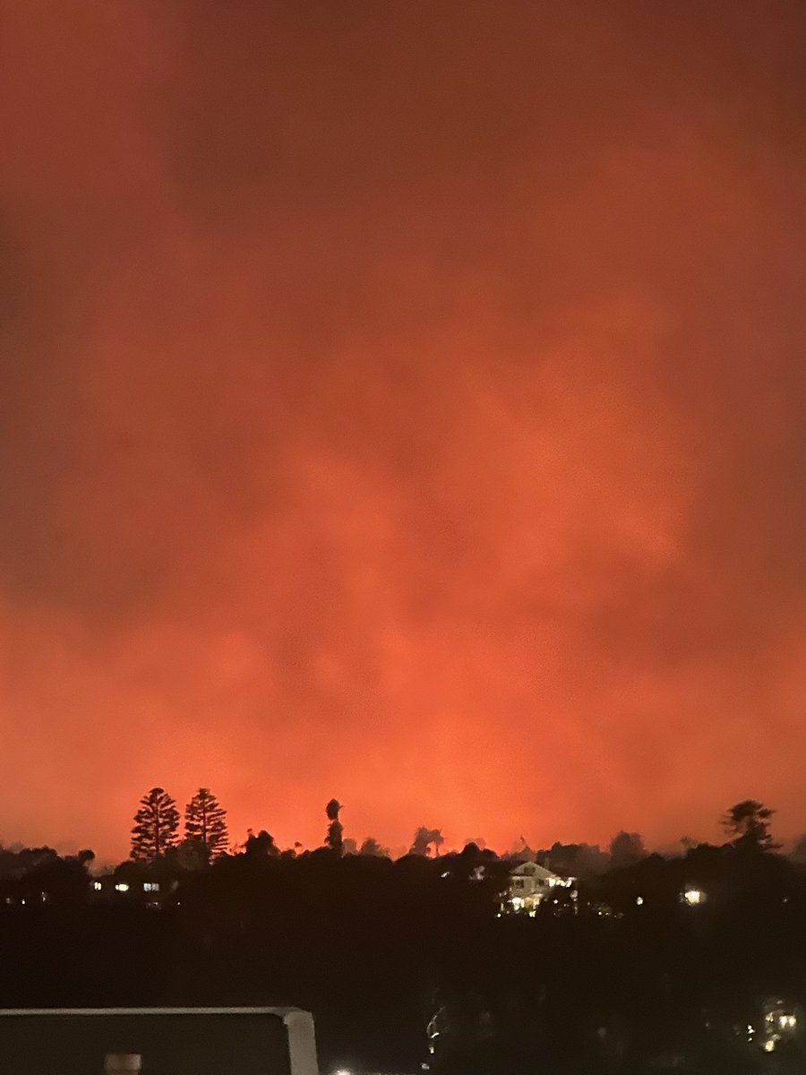 bearsnake 🍩 tweet media