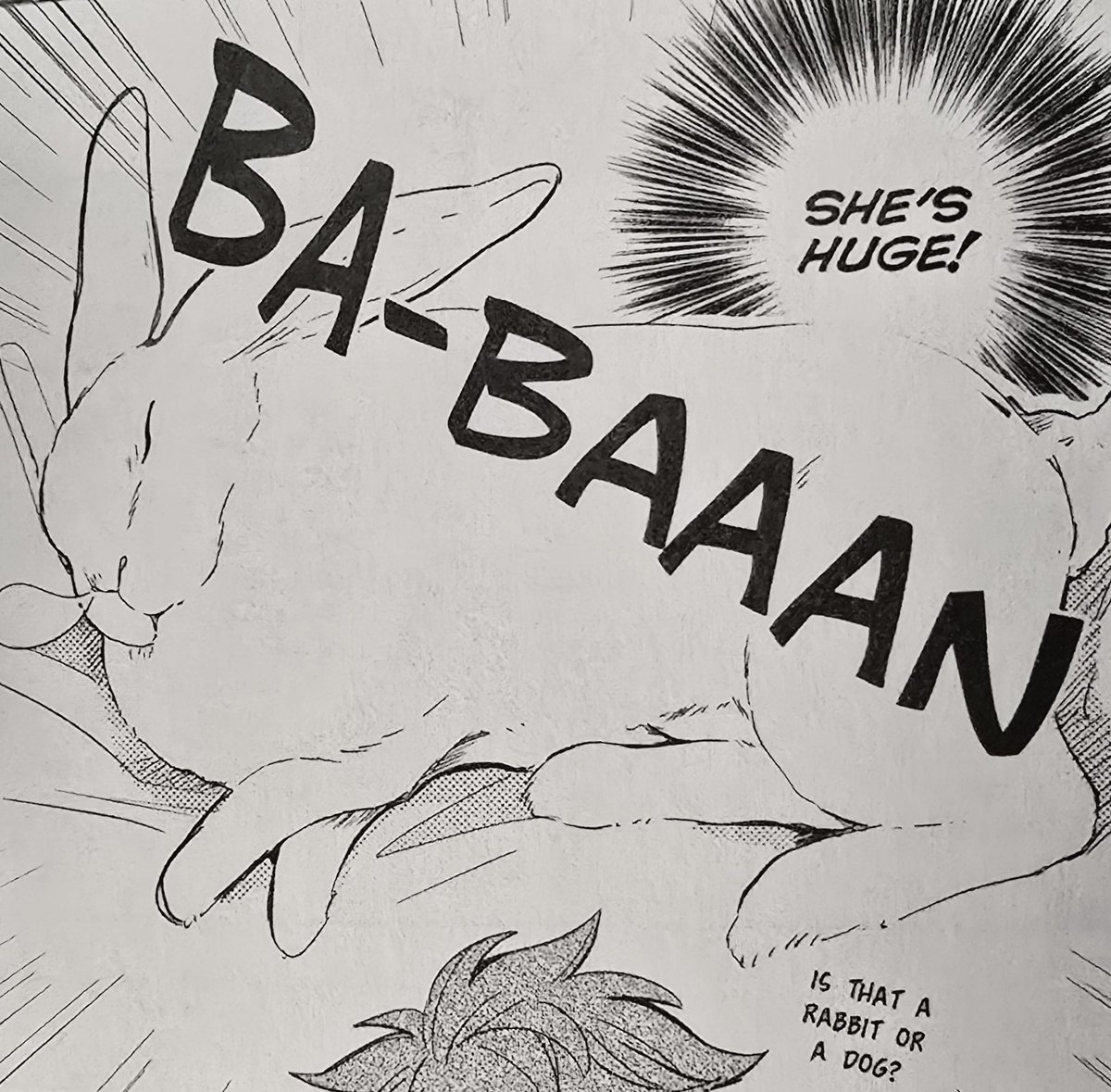 knife-wielding rabbit tweet media