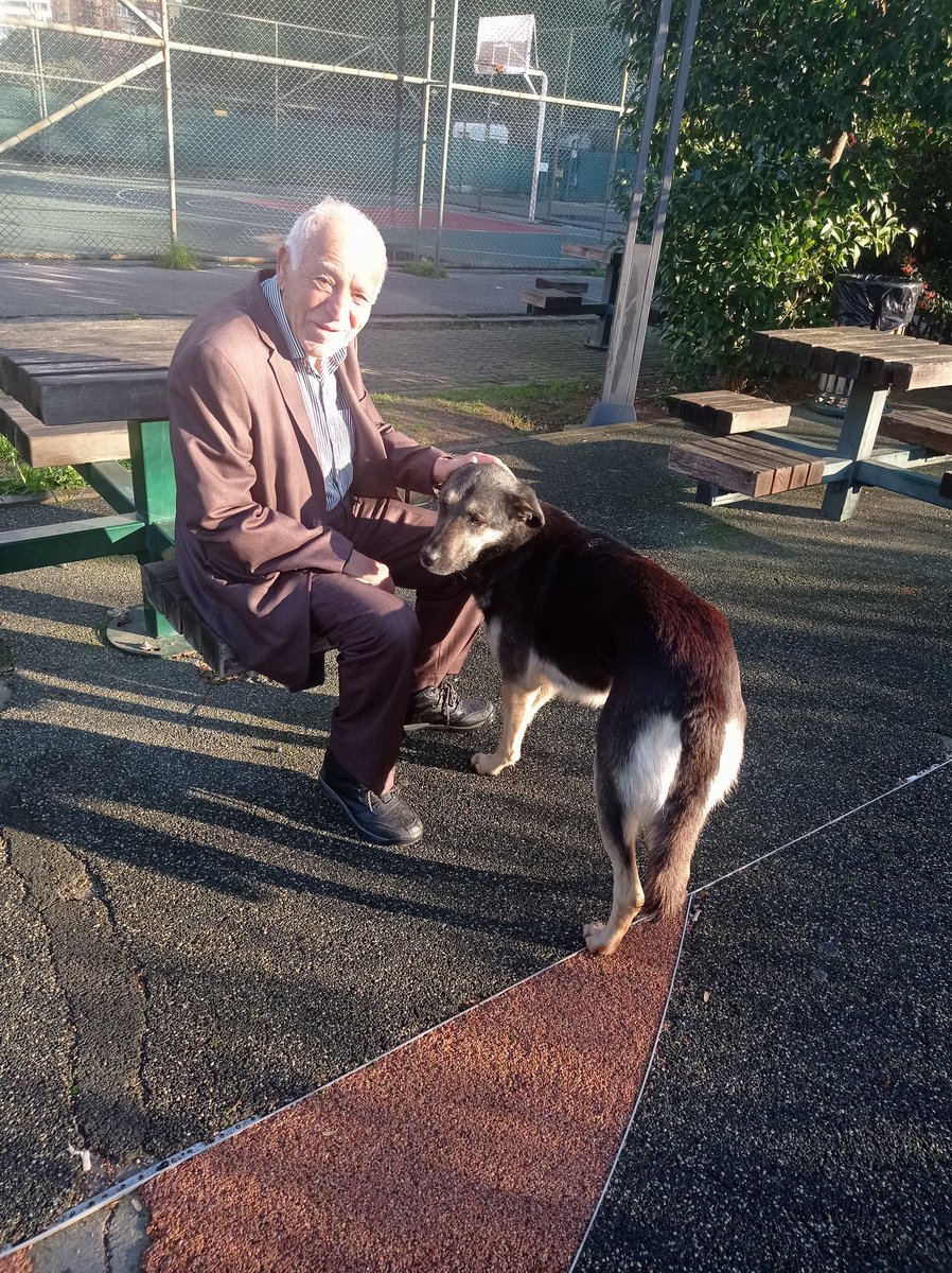 Bugün yürüyüş yaparken bir amcayla tatlı bir köpeği gördüm. Amca bankta oturmuş, köpeğin başını seviyordu. Köpek o kadar mutluydu ki... Sevgi ve merhamet ne güzel şeyler. Keşke her canlının güvenle yaşayabildiği, zulüm görmediği bir dünya olsa. #hayvanşidetinehayır #köpek