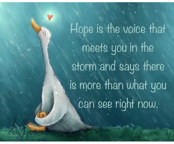 LifeWithJohn's tweet image. Hope is the voice that meets you in the storm and says there is more than what you can see right now.