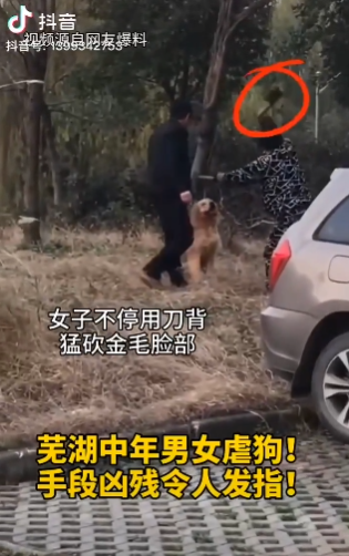 bapak7189's tweet photo. I’m honestly disgusted right now! This woman in China is using a knife to chop up a poor dog, and the dog is still alive but just accepts its fate. It’s heartbreaking. How can anyone do this to an innocent animal? 1/3 @PhaedraXTeddy @ECOAlphaTango @GundamNorthrop @yuceltanay53 https://t.co/jwZ6gz4rxE