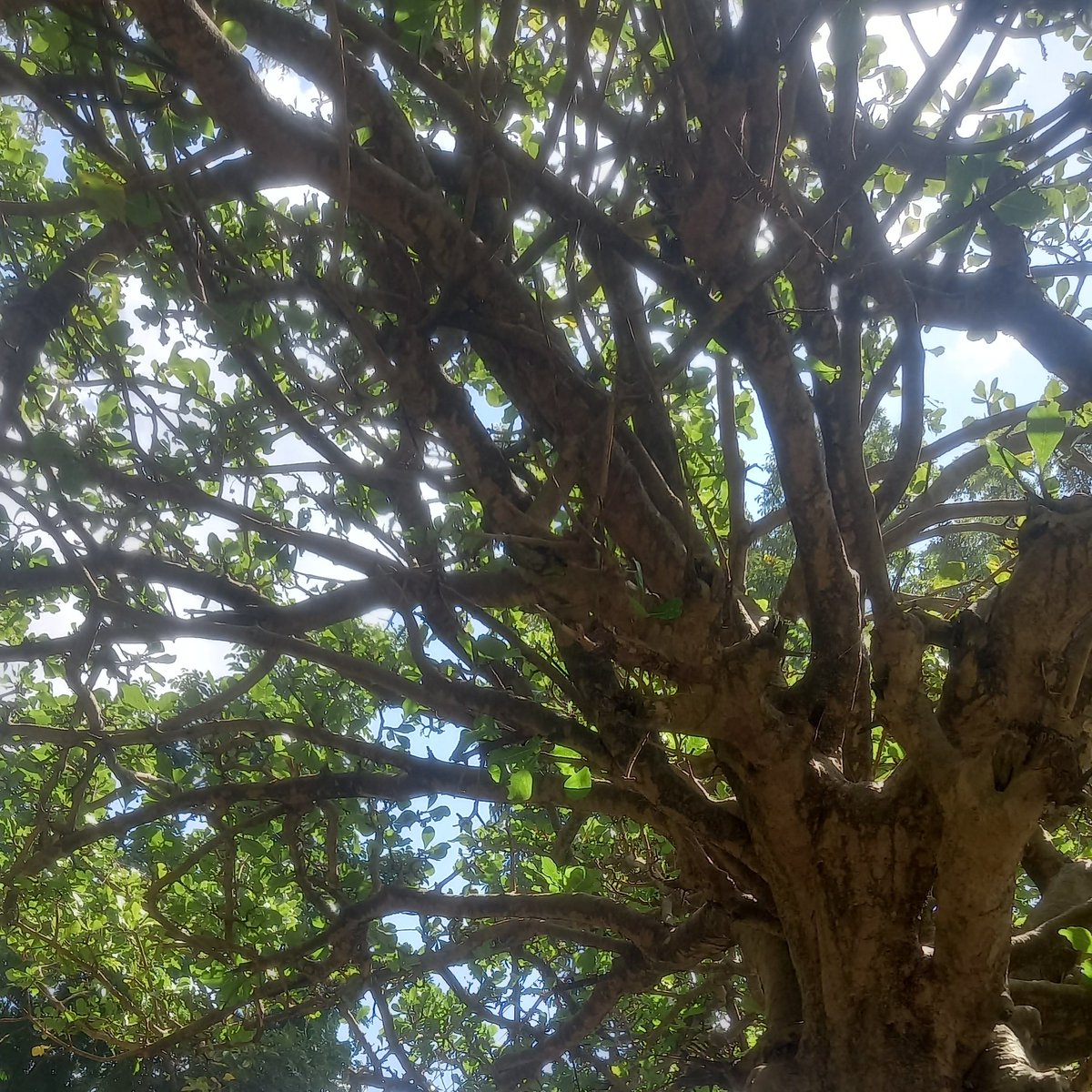 2025Guide's tweet image. #NewProfilePic