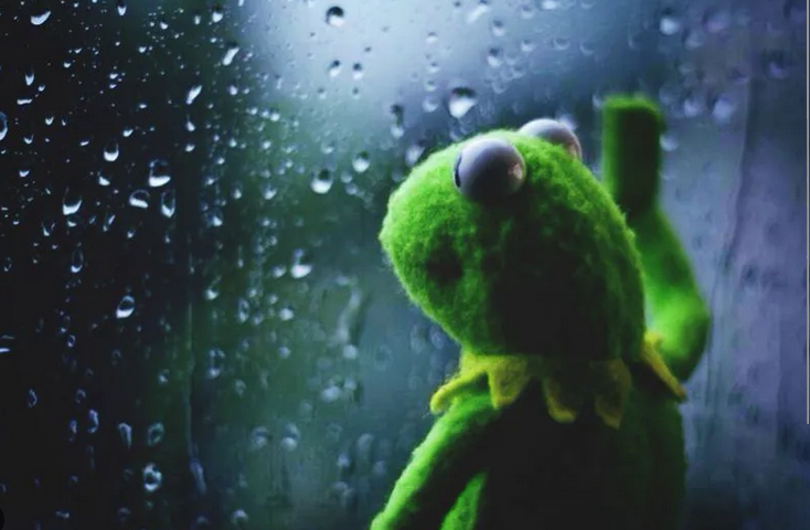 Lucile Danilov tweet media