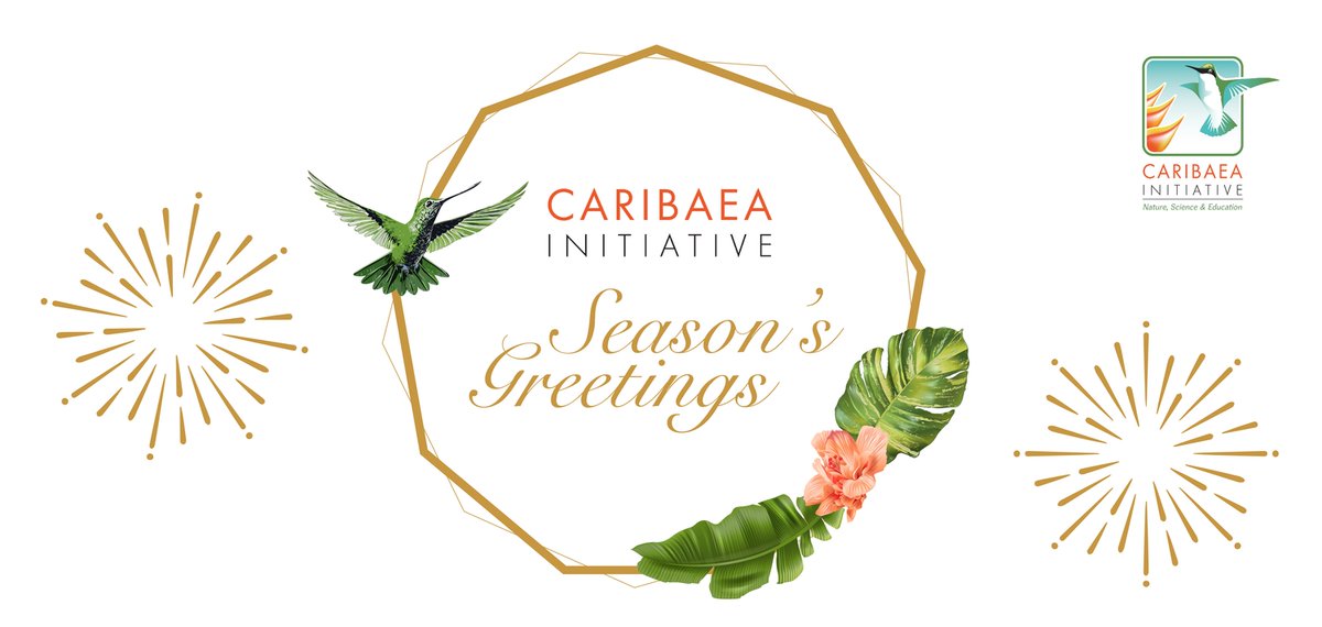 ✨ 𝗪𝗶𝘀𝗵𝗶𝗻𝗴 𝘆𝗼𝘂 𝗮 𝘄𝗼𝗻𝗱𝗲𝗿𝗳𝘂𝗹 𝟮𝟬𝟮𝟱! ✨

International conference in #Martinique, photo contest, student support, projects for #biodiversity and #conservation... 🌺 Thank you for being with us for another year filled with key milestones!