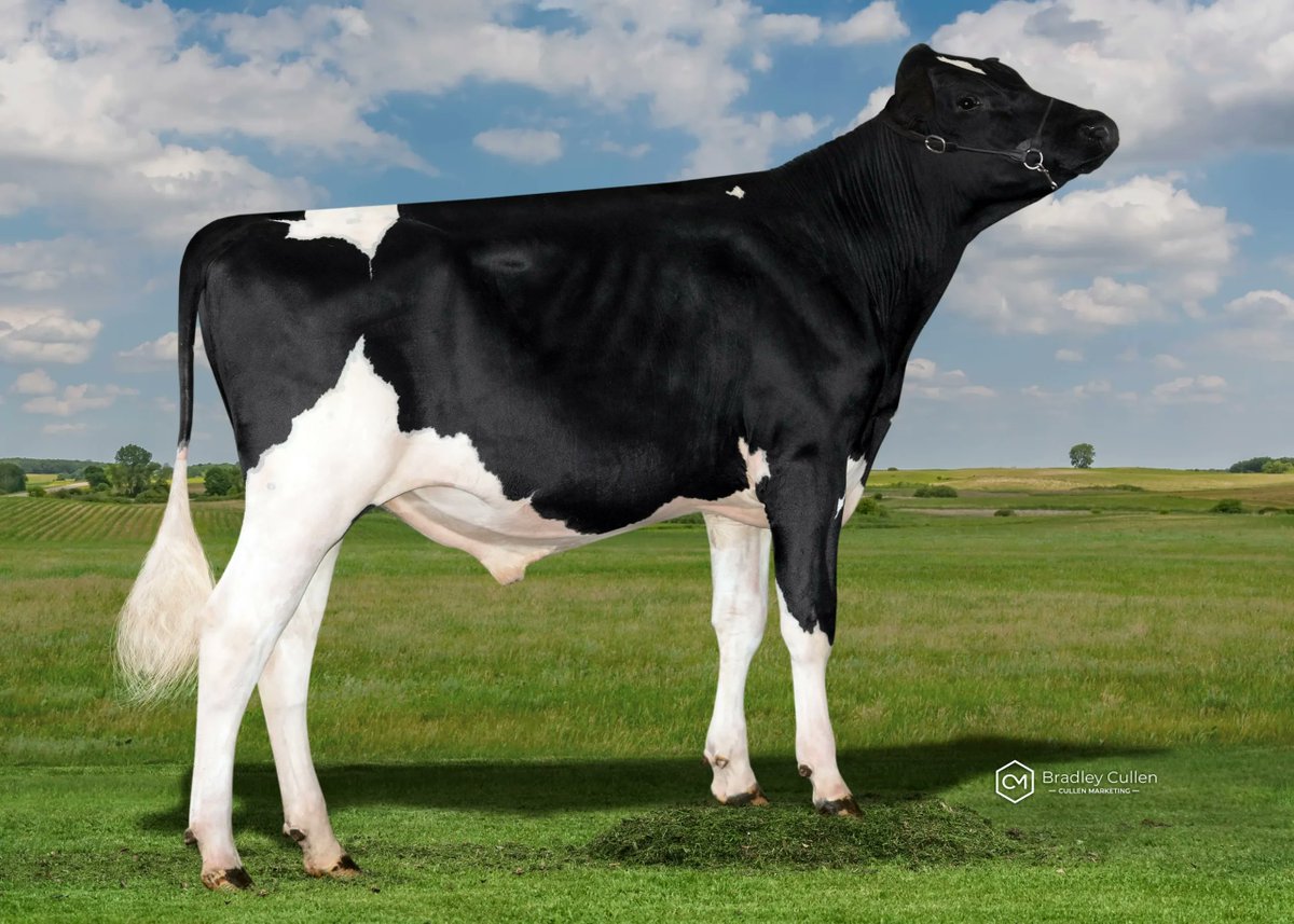 YourFarmGenetics (YFG) tweet media