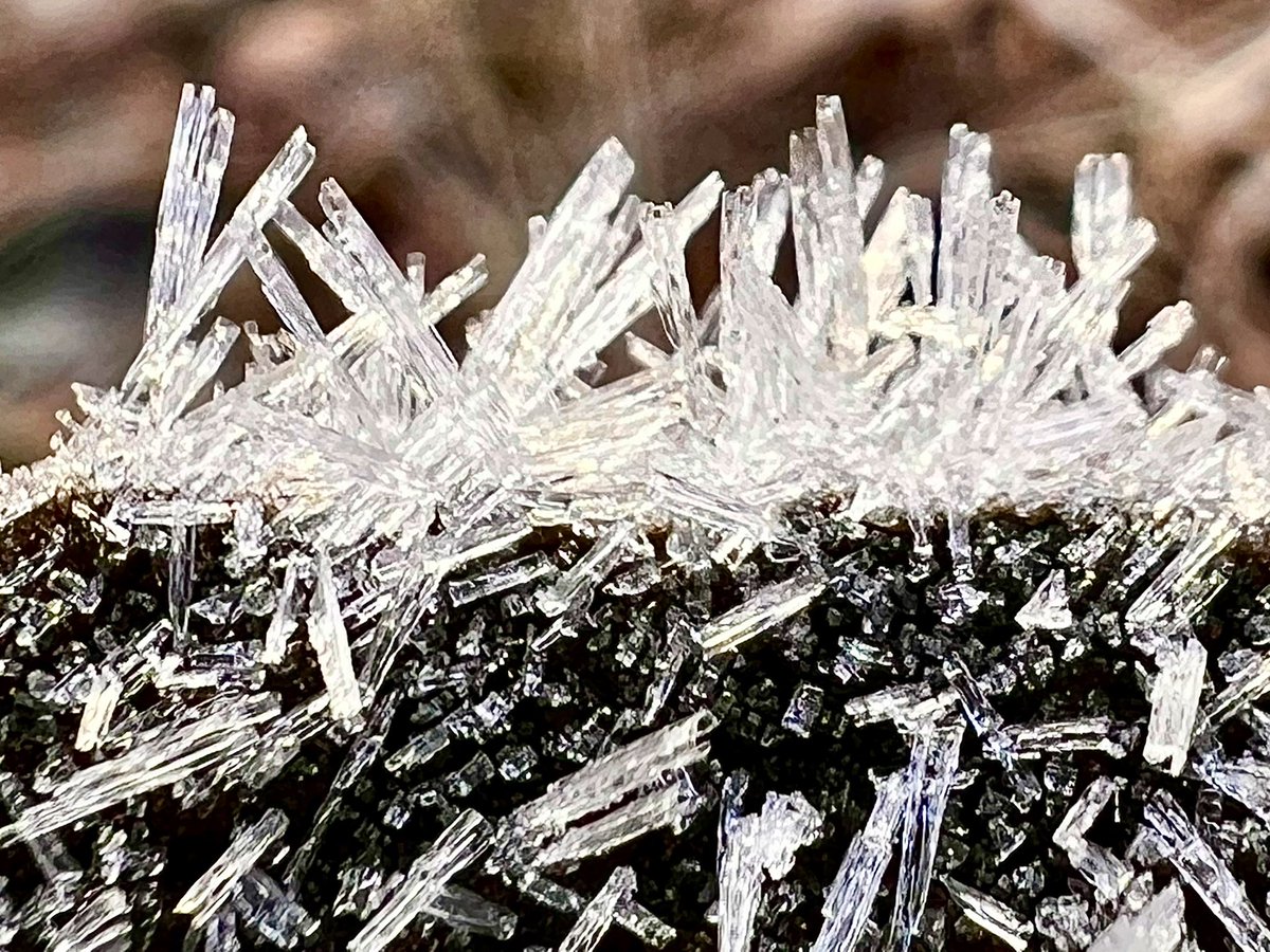 Faeryland Grasmere (@faerymere) on Twitter photo Frost crystals…
#Faeryland #Grasmere #LakeDistrict
#Wednesday <a href="/ThePhotoHour/">#ThePhotoHour</a>
<a href="/SnowHour/">#SnowHour ⛄</a> <a href="/MacroHour/">#MacroHour 🌿</a> Frost crystals…
#Faeryland #Grasmere #LakeDistrict
#Wednesday <a href="/ThePhotoHour/">#ThePhotoHour</a>
<a href="/SnowHour/">#SnowHour ⛄</a> <a href="/MacroHour/">#MacroHour 🌿</a>