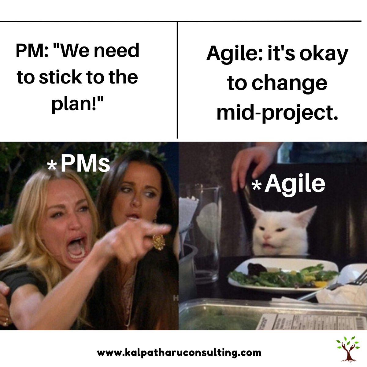 KalpaTharuCons1's tweet image. &quot;When you try to stick to the plan, but Agile keeps telling you it’s okay to pivot mid-project. 🤯🐾 

#ProjectManagement #AgileVsWaterfall #FlexibilityInAction #worklife #worklifememe
#projectmanagementlife
#projectmemes