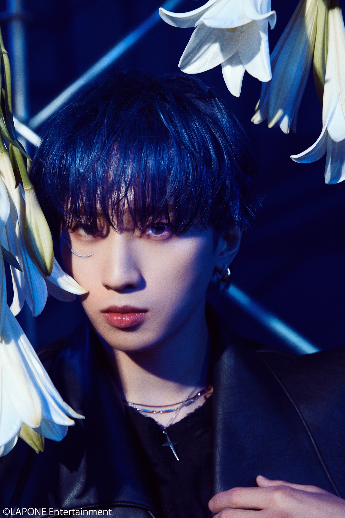 INI許豊凡FANUNION/フェンFAN🧸 on X: 