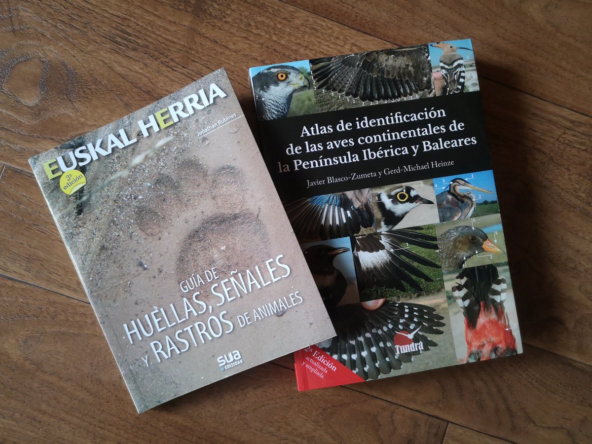 He estrenado 2025 con estos dos regalazos de Sus Majestades, ignorantes ellos de mis avenencias poco monárquicas. Con todo el provecho que he sacado a las fichas de Blasco Zumeta, ya era hora de agradecérselo merced al trabajo de @tundraediciones.bsky.social.