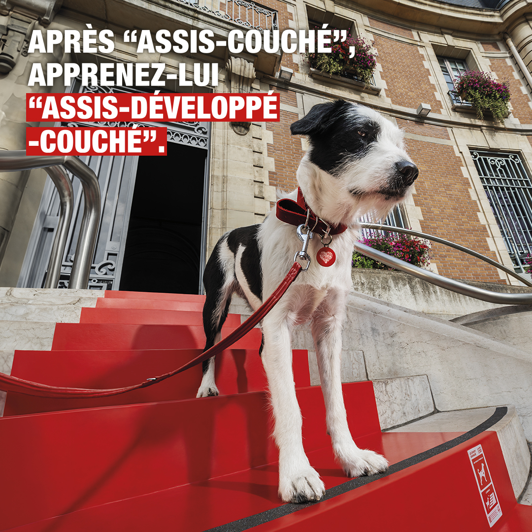 Generali France (@generalifrance) on Twitter photo 🐾 Les chiens en ville manquent d’espace ?
Avec la <a href="/SPA_Officiel/">La SPA France</a> et #NatureDeChien nous avons transformé les bancs, poteaux et lampadaires en salle de sport pour chiens !
Découvrez nos tutos ! 💪
🔗 generali.fr/urban-doggy-fi…
#urbandoggyfit #pets #sport #doglover 🐾 Les chiens en ville manquent d’espace ?
Avec la <a href="/SPA_Officiel/">La SPA France</a> et #NatureDeChien nous avons transformé les bancs, poteaux et lampadaires en salle de sport pour chiens !
Découvrez nos tutos ! 💪
🔗 generali.fr/urban-doggy-fi…
#urbandoggyfit #pets #sport #doglover