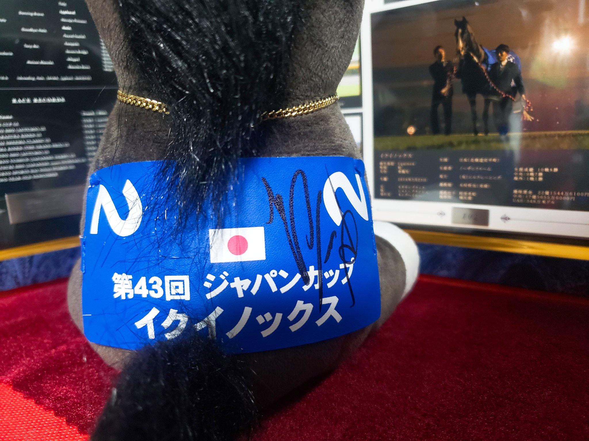 アイドルホース記念-芝1800㍍-🐴 (@JoieDeVivre82) / X