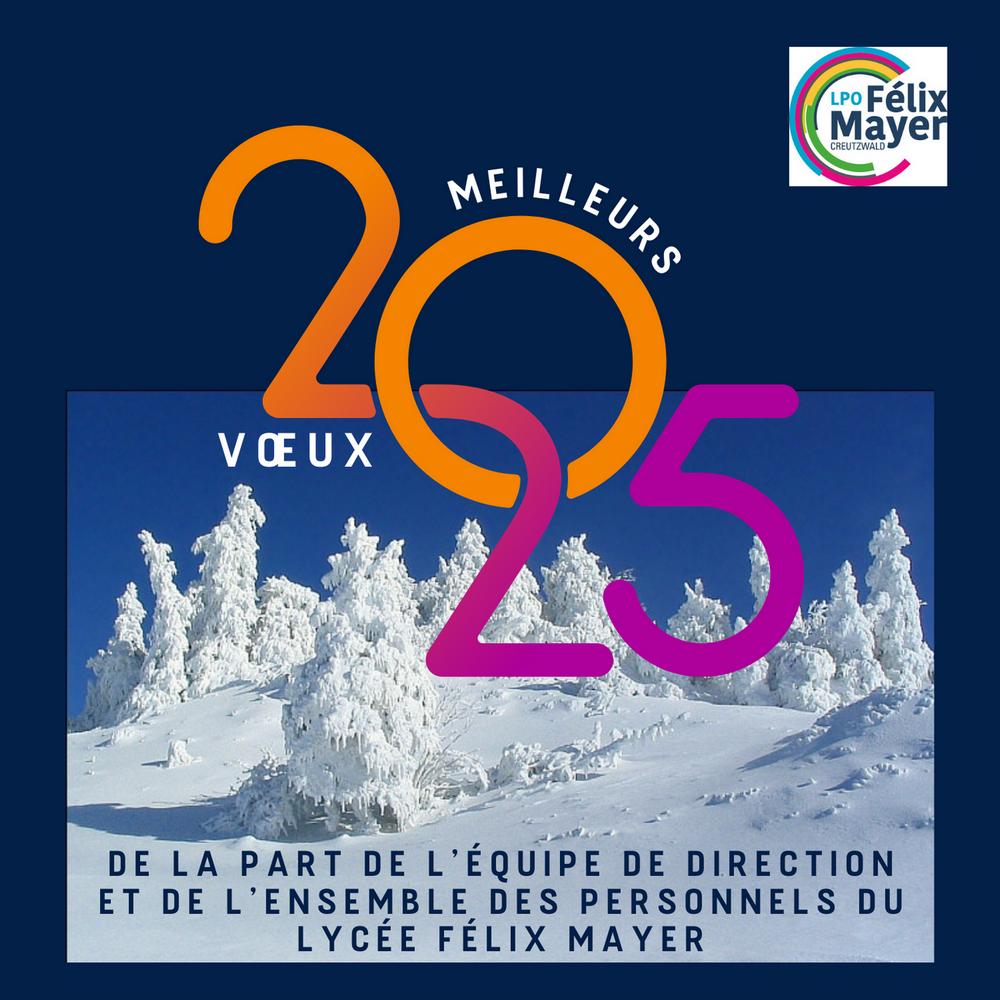 LPO Félix Mayer tweet media