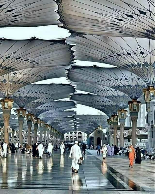 Farah Z (@fz_f33) on Twitter photo #جان_گروپ
4569
<a href="/fz_f33/">Farah Z</a>🅰️
<a href="/ab_zz1/">Abdul Razzaq</a>
<a href="/1Aiin/">𝑨𝒊𝒏𝒂𝒎 𝒑𝒐𝒔𝒕 ☆</a>
<a href="/rafzl1/">روبینہ افضل ملک</a>
<a href="/B_utt3/">Simran 🦋</a>
<a href="/alrz67/">.🔥À Ĺ Ì.🔥</a>
<a href="/A_tta4/">Atta Ayub</a>
<a href="/MzKhr/">Zeshan Malikส้้้้้้้้้้้้้้</a>
<a href="/IHN91/">KHata Kaar 𝕏®️™️</a>
<a href="/Iri8_4u/">Smile 😃Luv❤️Live🥰</a>
<a href="/ZBN65/">Bilal Mahar 41</a>
@GH4LL
<a href="/Lodhi_6/">جند جان پاکستان</a>
<a href="/1_Raza1/">Raza Ahmad Mughal🌠🌠🌠</a>
<a href="/2Shnaz/">اُمیدِسحر❣️</a>
<a href="/0MNS4/">Imtiaz Sipra</a>
<a href="/PRani_7/">Professor Sundas (I Stand With Civil Supremacy)</a>
<a href="/B4Bism/">Bisma</a>
<a href="/m_azm3/">Muhammad Azeem</a>
<a href="/ASRF45/">ASHRAF JAMIL ARAIEN</a>
<a href="/SA55Ca/">سعید چوہدری</a>
<a href="/214Amin/">M Amin</a>
<a href="/SN_786S/">SAJID NAVEED TAHIR</a>
<a href="/RaR5031/">🐅Rana Ammar Raza@BABA🐅PML-N</a>
<a href="/Naaz_313/">Sajjad Naaz 🕊️🕊️🇵🇸</a>
<a href="/hiep2016/">Duong Van Hiep</a>
<a href="/AMnAbW/">❥➳𝑨𝒎𝒏𝒂 𝑩𝒂𝒋𝒘𝒂➳❥</a>
<a href="/SARSDGs/">S.Abdul Rasheed Gujjar</a>
<a href="/Javed64M/">Mian M Javed Iqbal.</a>
<a href="/F_kashmire/">Fareed Minhas kashmire</a>
<a href="/farooqWdar/">Farooq Waseem Dar</a> #جان_گروپ
4569
<a href="/fz_f33/">Farah Z</a>🅰️
<a href="/ab_zz1/">Abdul Razzaq</a>
<a href="/1Aiin/">𝑨𝒊𝒏𝒂𝒎 𝒑𝒐𝒔𝒕 ☆</a>
<a href="/rafzl1/">روبینہ افضل ملک</a>
<a href="/B_utt3/">Simran 🦋</a>
<a href="/alrz67/">.🔥À Ĺ Ì.🔥</a>
<a href="/A_tta4/">Atta Ayub</a>
<a href="/MzKhr/">Zeshan Malikส้้้้้้้้้้้้้้</a>
<a href="/IHN91/">KHata Kaar 𝕏®️™️</a>
<a href="/Iri8_4u/">Smile 😃Luv❤️Live🥰</a>
<a href="/ZBN65/">Bilal Mahar 41</a>
@GH4LL
<a href="/Lodhi_6/">جند جان پاکستان</a>
<a href="/1_Raza1/">Raza Ahmad Mughal🌠🌠🌠</a>
<a href="/2Shnaz/">اُمیدِسحر❣️</a>
<a href="/0MNS4/">Imtiaz Sipra</a>
<a href="/PRani_7/">Professor Sundas (I Stand With Civil Supremacy)</a>
<a href="/B4Bism/">Bisma</a>
<a href="/m_azm3/">Muhammad Azeem</a>
<a href="/ASRF45/">ASHRAF JAMIL ARAIEN</a>
<a href="/SA55Ca/">سعید چوہدری</a>
<a href="/214Amin/">M Amin</a>
<a href="/SN_786S/">SAJID NAVEED TAHIR</a>
<a href="/RaR5031/">🐅Rana Ammar Raza@BABA🐅PML-N</a>
<a href="/Naaz_313/">Sajjad Naaz 🕊️🕊️🇵🇸</a>
<a href="/hiep2016/">Duong Van Hiep</a>
<a href="/AMnAbW/">❥➳𝑨𝒎𝒏𝒂 𝑩𝒂𝒋𝒘𝒂➳❥</a>
<a href="/SARSDGs/">S.Abdul Rasheed Gujjar</a>
<a href="/Javed64M/">Mian M Javed Iqbal.</a>
<a href="/F_kashmire/">Fareed Minhas kashmire</a>
<a href="/farooqWdar/">Farooq Waseem Dar</a>