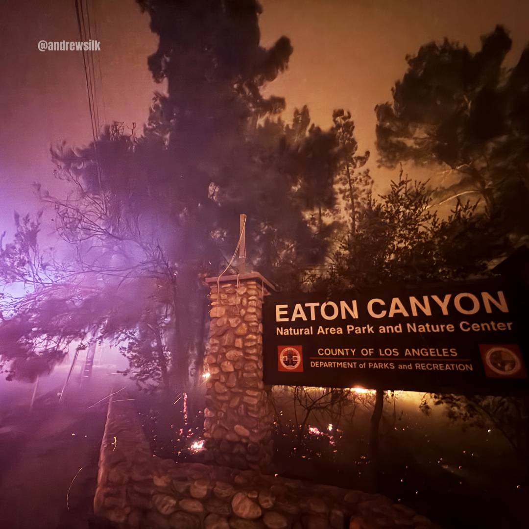 Muir Mustangs Media tweet media