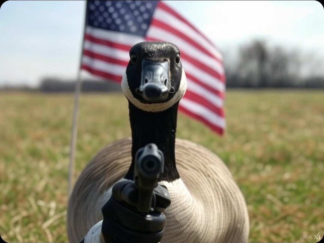 51stStateUS's tweet photo. Q: Now that we are all part of America, what do we do with the Canadian Geese? 
A: Those are now American Geese and will be issued a handgun like the rest of us. 
#51stState https://t.co/SsuJ499l8J