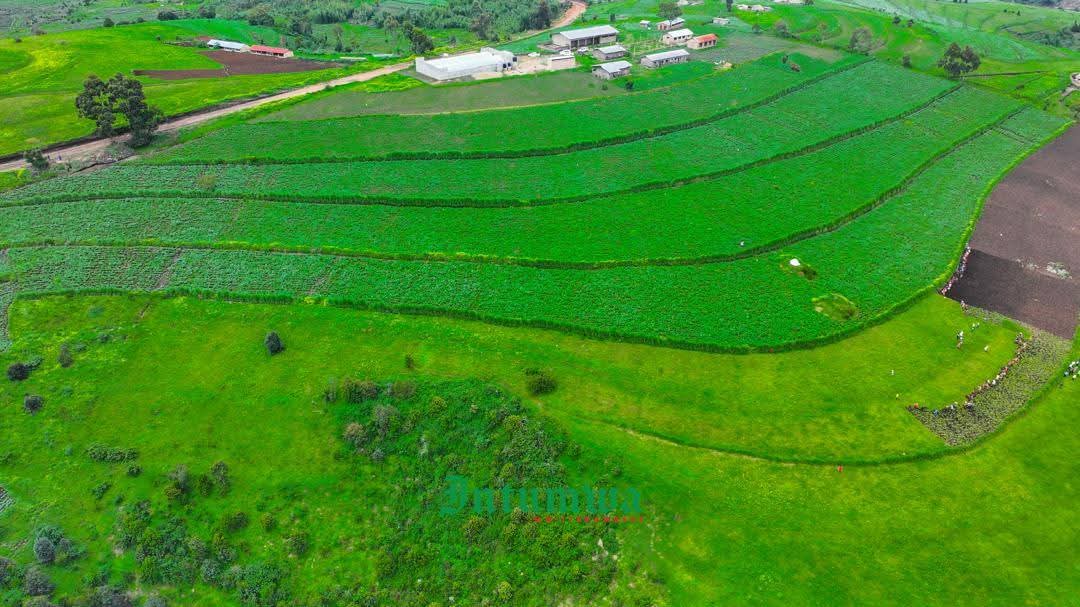 sinrenovat's tweet photo. La verdure des collines du #Burundi reflète un bon climat et la résilience du peuple face à la flambée des prix des produits agricoles. Entre défis et espoir, les Burundais puisent dans leur terre et leur solidarité pour s’adapter et prospérer. 🌱🇧🇮 📷 @IntumwaNews https://t.co/DGxVOQ7JWH