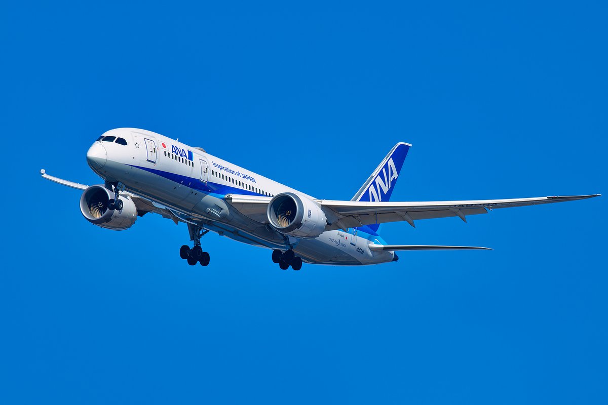 ANA月次輸送実績 2024年11月 #プレスリリース はこちら https://t.co/D5YYZMCNYY