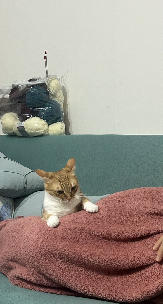 Annemin beni sevmesinden hiç hoşlanmamıştım