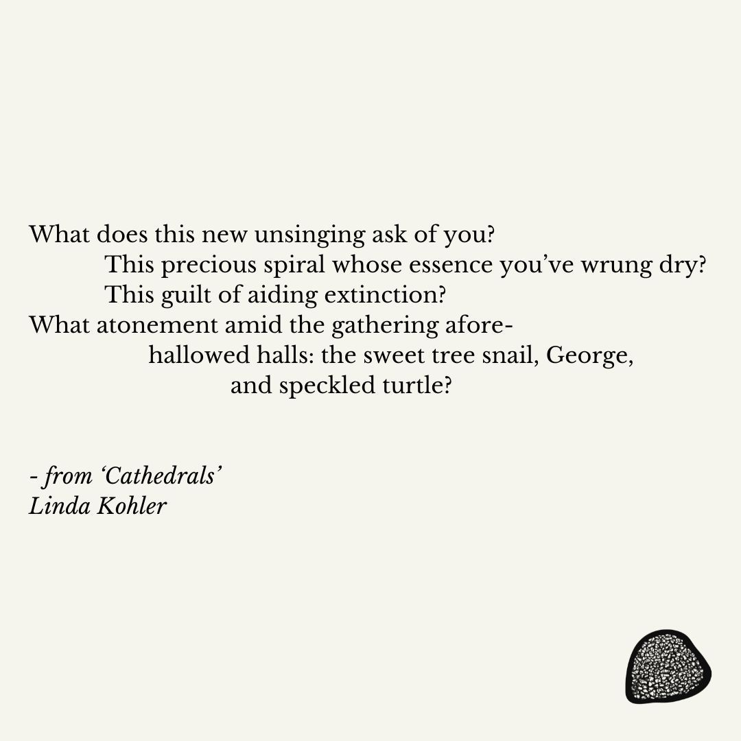 The Marrow International Poetry (@themarrowpoetry) on Twitter photo A deeply-felt ecogrief suffuses <a href="/lindajkohler/">Linda Kohler</a>'s 'Cathedrals', a poem mourning the small and the large losses, pointing the reader to all the ways they are intertwined: themarrowpoetry.com/issue-2/cathed…
#ecopoetry #dailypoem #weeklypoem #poemoftheweek #poetryjournal #newpoetry #AusPoetry A deeply-felt ecogrief suffuses <a href="/lindajkohler/">Linda Kohler</a>'s 'Cathedrals', a poem mourning the small and the large losses, pointing the reader to all the ways they are intertwined: themarrowpoetry.com/issue-2/cathed…
#ecopoetry #dailypoem #weeklypoem #poemoftheweek #poetryjournal #newpoetry #AusPoetry