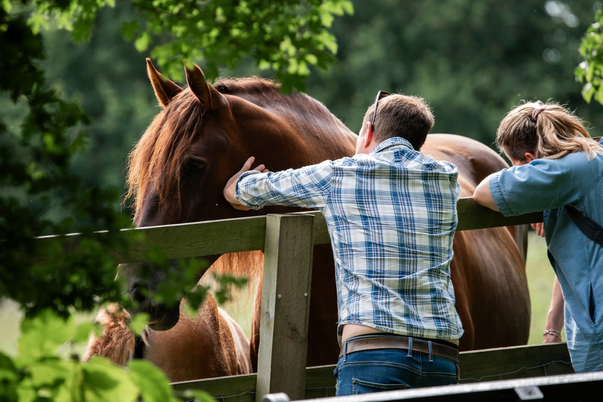 PSA: The countdown to Primadonna 2025 has officially begun! This summer, we’re creating a space where the world slows down just enough to breathe, connect, and dream. Join us in July for stories, laughter, and maybe a horse or two.🐴✨
#theworldasitcouldbe #primdonnafestival