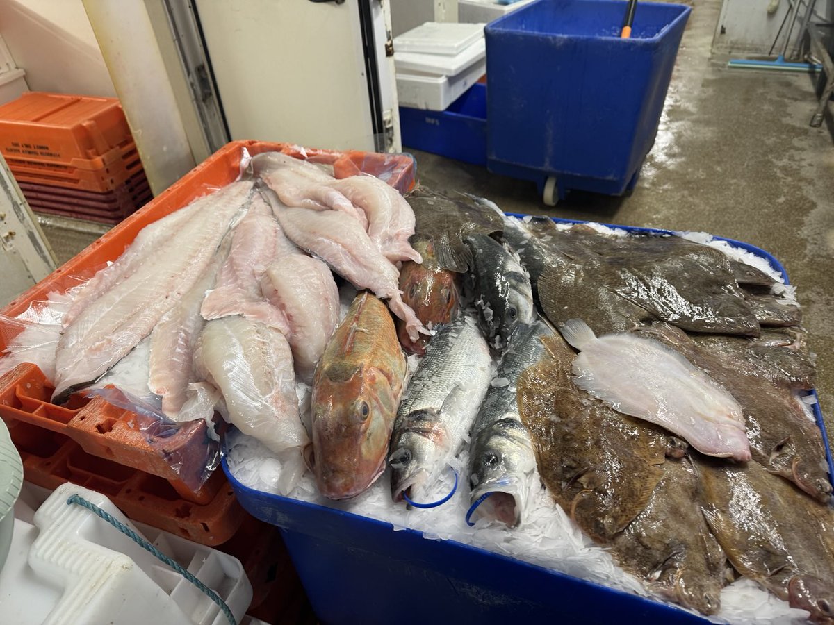 Some lovely fish to start the year