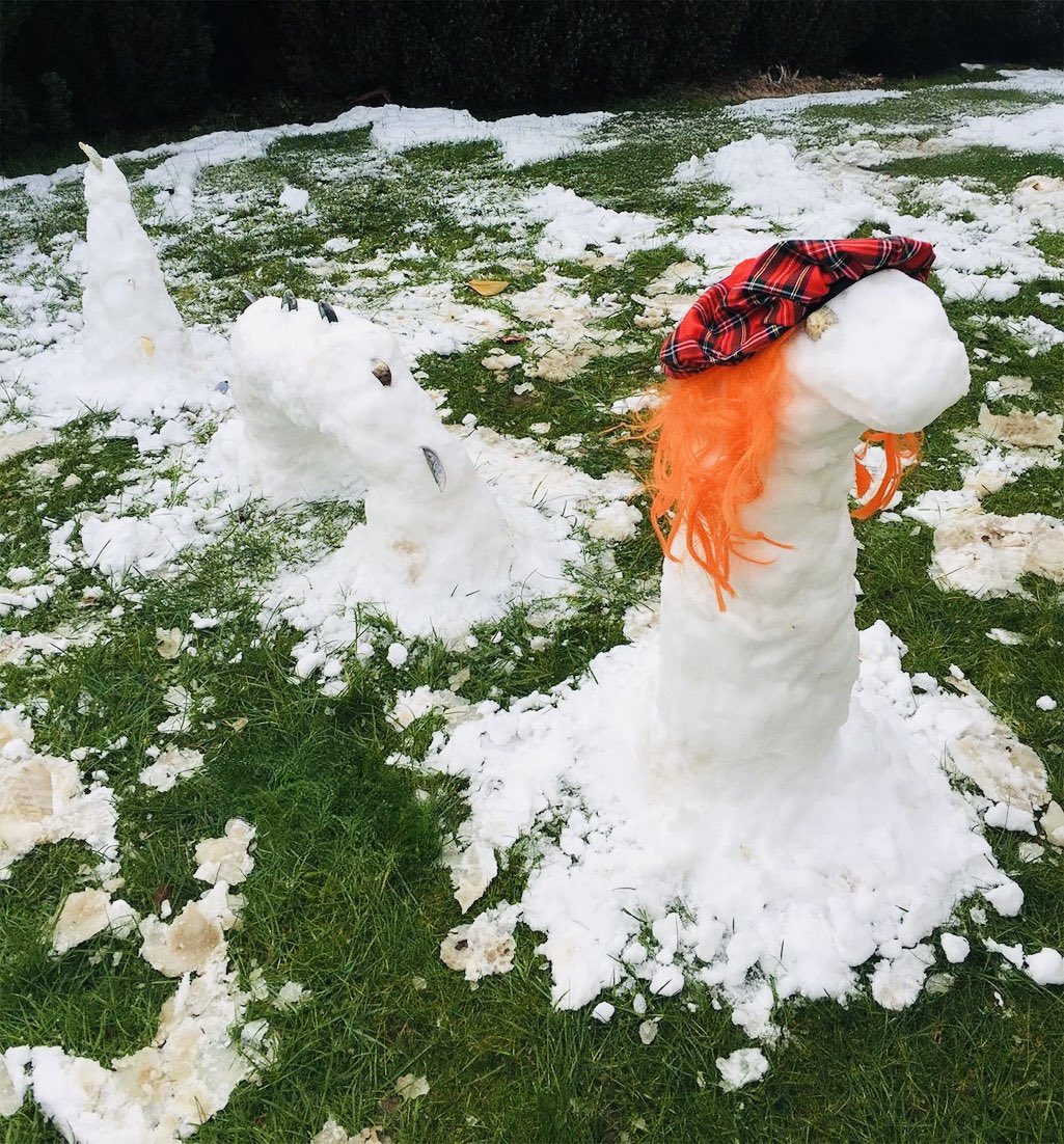 Nessie ist an Land gekommen.