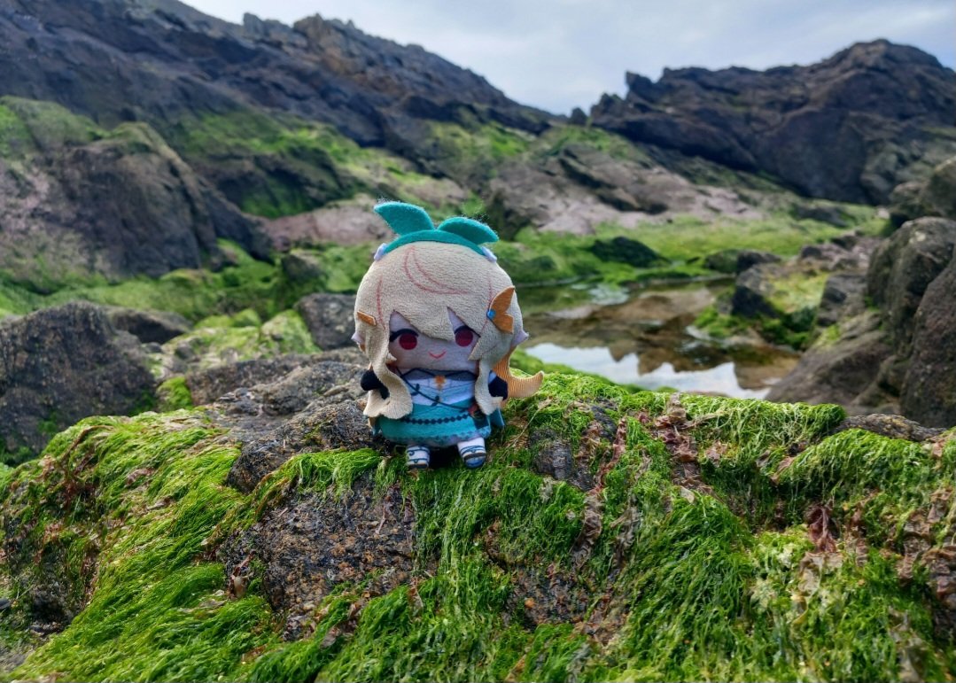 the photographer vs the shot