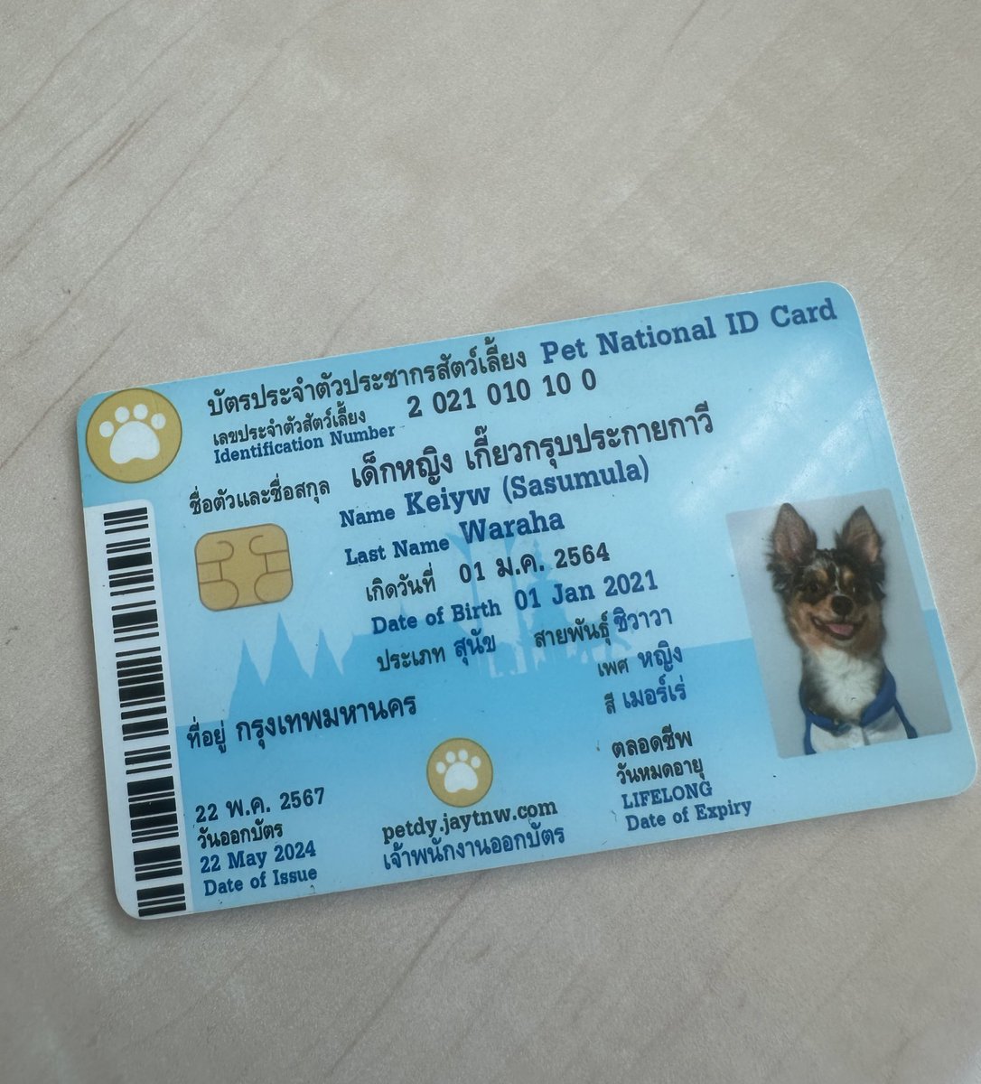 เค้าให้ยื่นบัตรปชชทำเอกสาร สิ่งที่ฉันยื่นไป
