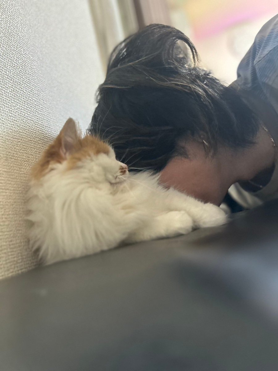 ryo_waya's tweet photo. これが至福の時
ぶっ飛ぶ😏 https://t.co/FoWyN6SVXG