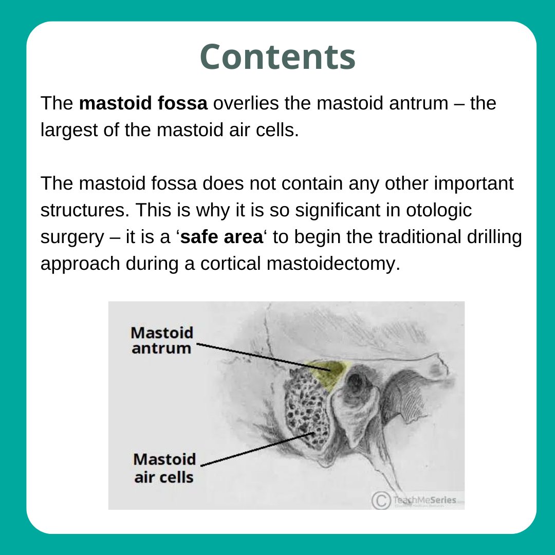 TeachMe_Support's tweet image. Next up in the Anatomical Areas Series: Mastoid Fossa! Scroll through for a summary of its borders and contents.

Read the full article: teachmeanatomy.info/head/areas/mas… #medicalstudent #medicine #medstudent #medicalschool #medschool #physician #futuredoctor #premed #studymotivation