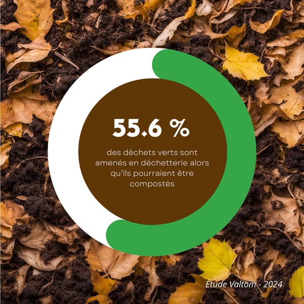 Saviez-vous que les feuilles mortes peuvent, elles aussi, être compostées ? C'est une solution efficace pour réduire vos déchets, et une belle manière de nourrir votre jardin sans avoir besoin de vous déplacer en déchèterie!