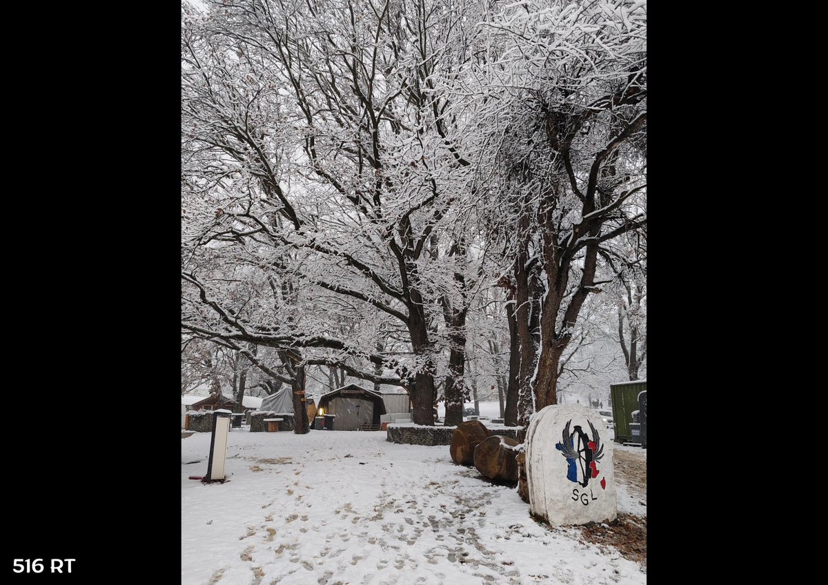 516e régiment du Train tweet media