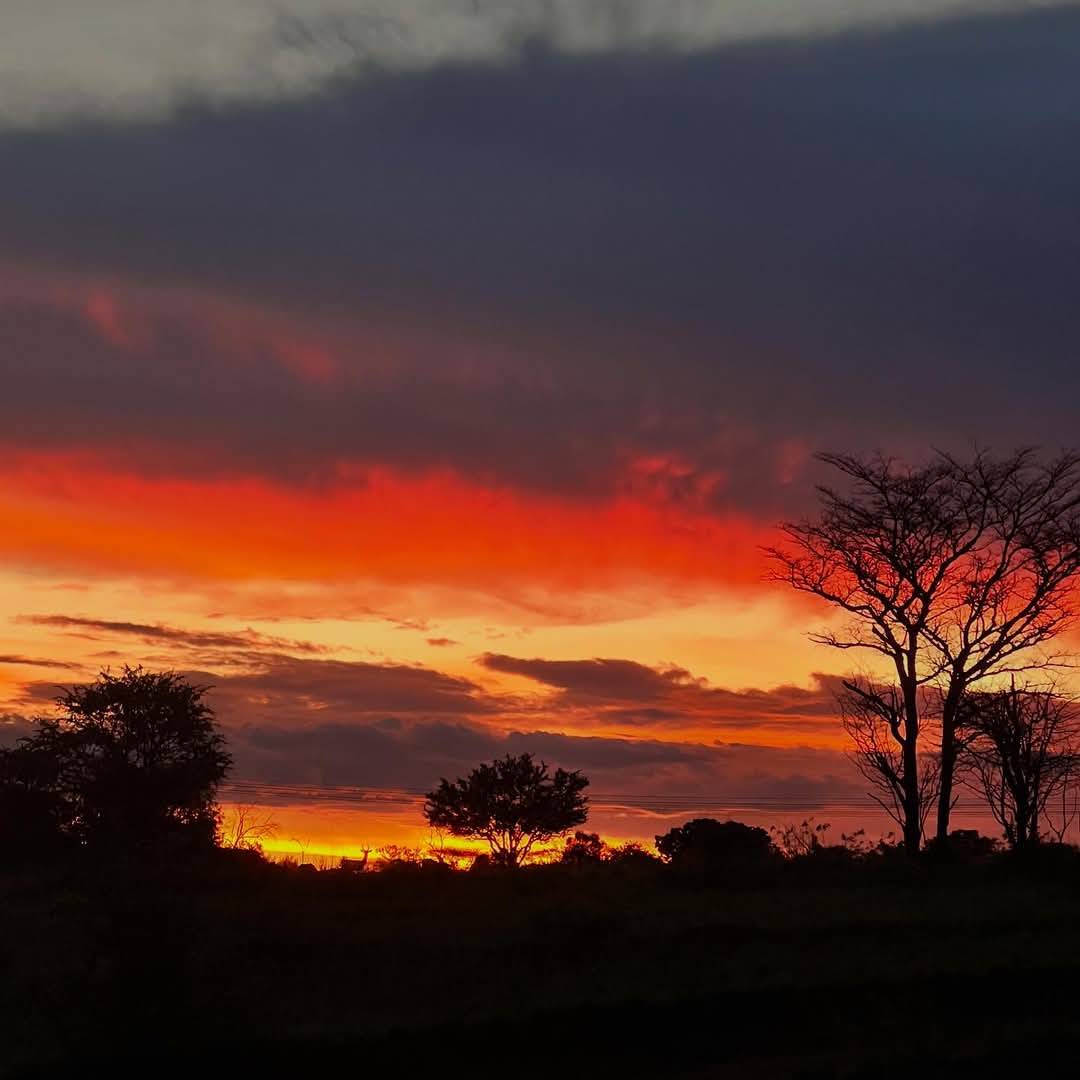 Sunsets and sunrises are one of a kind spectacular in the bush at our Wildlife Reserve Volunteer Programme, South Africa 🌅 

Can you spot the impala enjoying this sunset alongside our team? 🔍

workingabroad.com/projects/wildl…

#iamworkingabroad #sunset #volunteersa #southafrica
