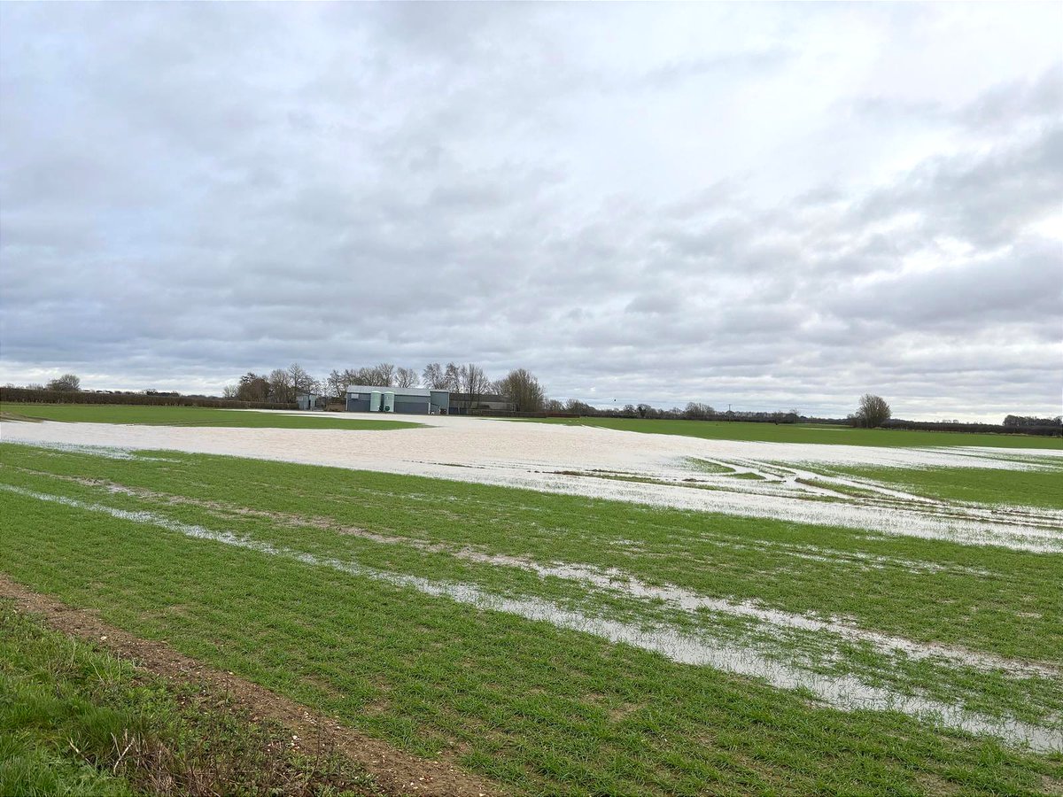 Never a great start to the year, month or day seeing land under water but something we are sadly becoming used to...
#arablefarming