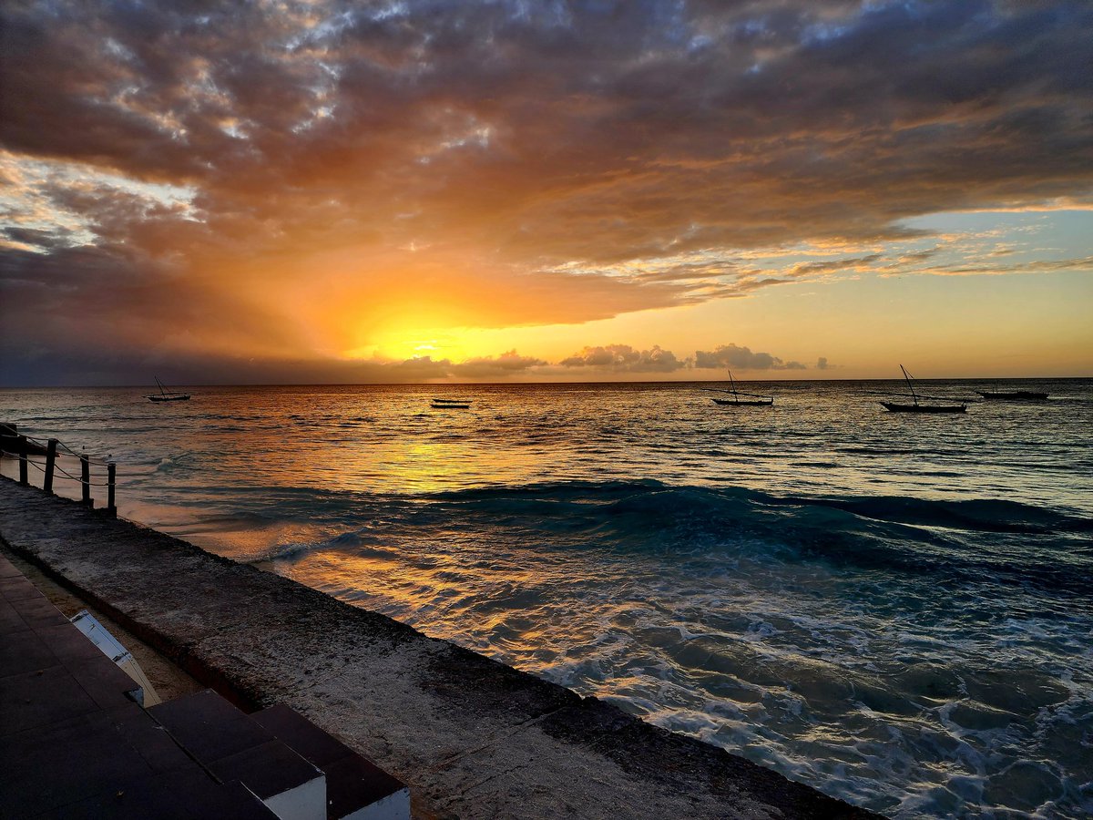 254crypt's tweet image. 