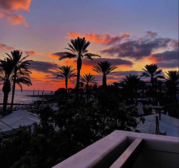 We had some stunning photographs submitted for last month's Photo Challenge.  The theme was 'light' and students really embraced the opportunity to show off their artistic skills.  Congratulations to Kacie, 10CG who won the student vote with this impressive shot!