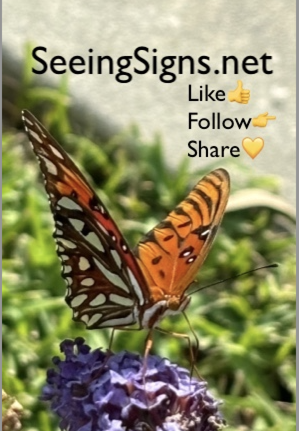 SeeingSignsBlog's tweet photo. Flutter over to https://t.co/dCXXpKbKIG. https://t.co/c0wX0hbfSD Link in bio.
#seeingsigns #signs #sign #lookingforsigns #whatdoesitmean #message #symbol #butterfly #monarchbutterfly https://t.co/VLGZJMhFci